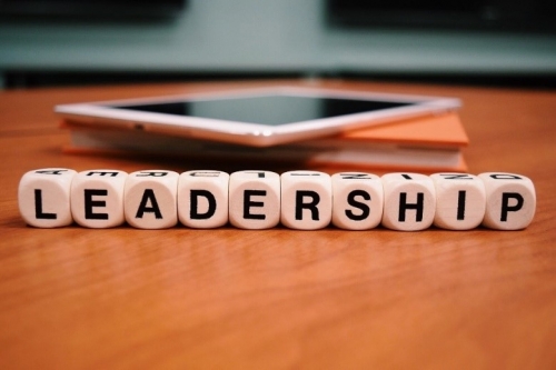 O papel natural numa equipa e estilos de liderança image